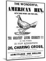 The Wonderful American Hen-null-Mounted Art Print