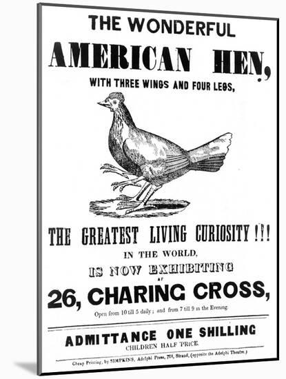 The Wonderful American Hen-null-Mounted Art Print