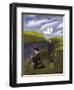 The Wonderful Flower-Hugo Simberg-Framed Giclee Print