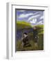 The Wonderful Flower-Hugo Simberg-Framed Giclee Print