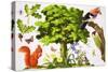 The Wonderful Oak Tree-John Rignall-Stretched Canvas