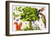 The Wonderful Oak Tree-John Rignall-Framed Giclee Print