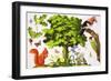 The Wonderful Oak Tree-John Rignall-Framed Giclee Print