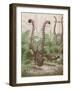 'The Wonderful Tail of the Lyre Bird', 1935-Unknown-Framed Giclee Print