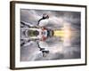 The Wonderfully Funny Puffin with a Calm Reflecting Landscape-Stephen Tucker-Framed Photographic Print