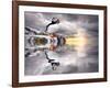 The Wonderfully Funny Puffin with a Calm Reflecting Landscape-Stephen Tucker-Framed Photographic Print