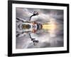The Wonderfully Funny Puffin with a Calm Reflecting Landscape-Stephen Tucker-Framed Photographic Print
