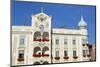 The Wonderfully Ornate Town Hall (Rathaus), Gmunden, Salzkammergut, Upper Austria, Austria, Europe-Doug Pearson-Mounted Photographic Print