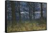 The Wood at Dusk, 1884-William Fraser Garden-Framed Stretched Canvas