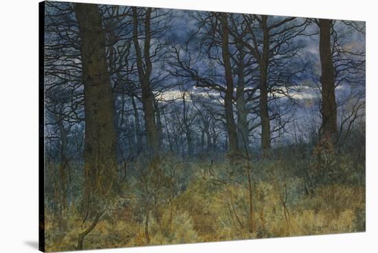 The Wood at Dusk, 1884-William Fraser Garden-Stretched Canvas