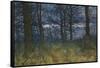 The Wood at Dusk, 1884-William Fraser Garden-Framed Stretched Canvas