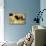 The Wood Bison-Richard Wright-Stretched Canvas displayed on a wall