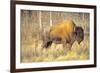 The Wood Bison-Richard Wright-Framed Photographic Print