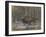 The Wood Bison-Evgeny Alexandrovich Tichmenev-Framed Giclee Print