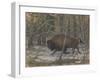 The Wood Bison-Evgeny Alexandrovich Tichmenev-Framed Giclee Print