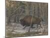 The Wood Bison-Evgeny Alexandrovich Tichmenev-Mounted Giclee Print