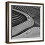 The wood project III - Zen garden-Luc Vangindertael (laGrange)-Framed Photographic Print