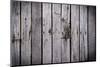 The Wood Texture with Natural Background-Madredus-Mounted Photographic Print