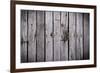 The Wood Texture with Natural Background-Madredus-Framed Photographic Print