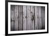 The Wood Texture with Natural Background-Madredus-Framed Photographic Print