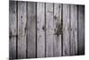 The Wood Texture with Natural Background-Madredus-Mounted Photographic Print