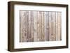 The Wood Texture with Natural Patterns Background-Madredus-Framed Photographic Print