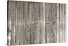 The Wood Texture with Natural Patterns-Madredus-Stretched Canvas