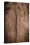 The Wood Texture with Natural Patterns-Madredus-Stretched Canvas