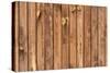 The Wood Texture with Natural Patterns-Madredus-Stretched Canvas