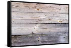 The Wood Texture with Natural Patterns-Madredus-Framed Stretched Canvas