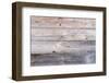 The Wood Texture with Natural Patterns-Madredus-Framed Photographic Print