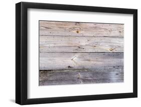 The Wood Texture with Natural Patterns-Madredus-Framed Photographic Print