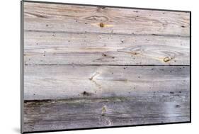 The Wood Texture with Natural Patterns-Madredus-Mounted Photographic Print