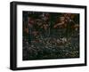 The Woodcocks World-Wilhelm Goebel-Framed Giclee Print