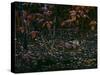 The Woodcocks World-Wilhelm Goebel-Stretched Canvas