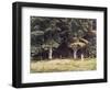 The Wooded Landscape, c.1900-Edward John Poynter-Framed Giclee Print