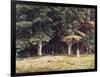 The Wooded Landscape, c.1900-Edward John Poynter-Framed Giclee Print