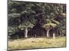 The Wooded Landscape, c.1900-Edward John Poynter-Mounted Giclee Print
