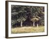 The Wooded Landscape, c.1900-Edward John Poynter-Framed Giclee Print