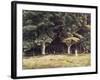 The Wooded Landscape, c.1900-Edward John Poynter-Framed Giclee Print