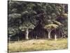 The Wooded Landscape, c.1900-Edward John Poynter-Stretched Canvas