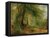 The Woodland Mirror, 19Th Century-Richard Redgrave-Framed Stretched Canvas