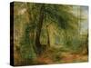 The Woodland Mirror, 19Th Century-Richard Redgrave-Stretched Canvas