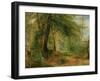 The Woodland Mirror, 19Th Century-Richard Redgrave-Framed Giclee Print