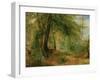 The Woodland Mirror, 19Th Century-Richard Redgrave-Framed Giclee Print