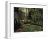 The Woodland Path-Hans Anderson Brendekilde-Framed Giclee Print