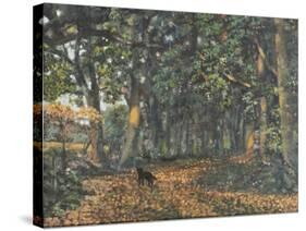 The Woodland Paths are Dry, 2003-Margaret Hartnett-Stretched Canvas