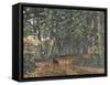 The Woodland Paths are Dry, 2003-Margaret Hartnett-Framed Stretched Canvas