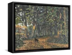 The Woodland Paths are Dry, 2003-Margaret Hartnett-Framed Stretched Canvas