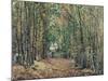 The Woods at Marly, 1871-Camille Pissarro-Mounted Giclee Print